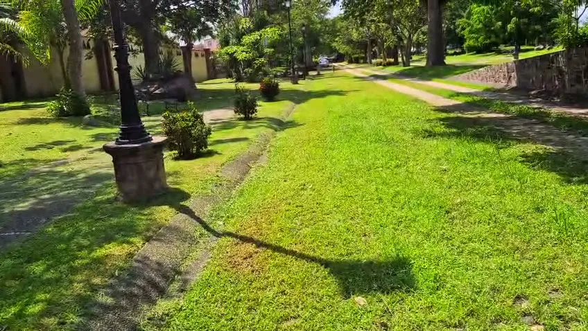 Áreas verdes recién podadas en un fraccionamiento
