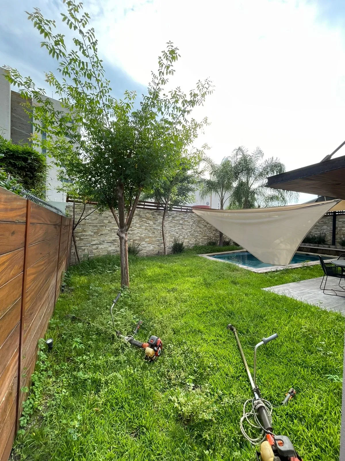 Patio trasero antes de la intervención de jardinería