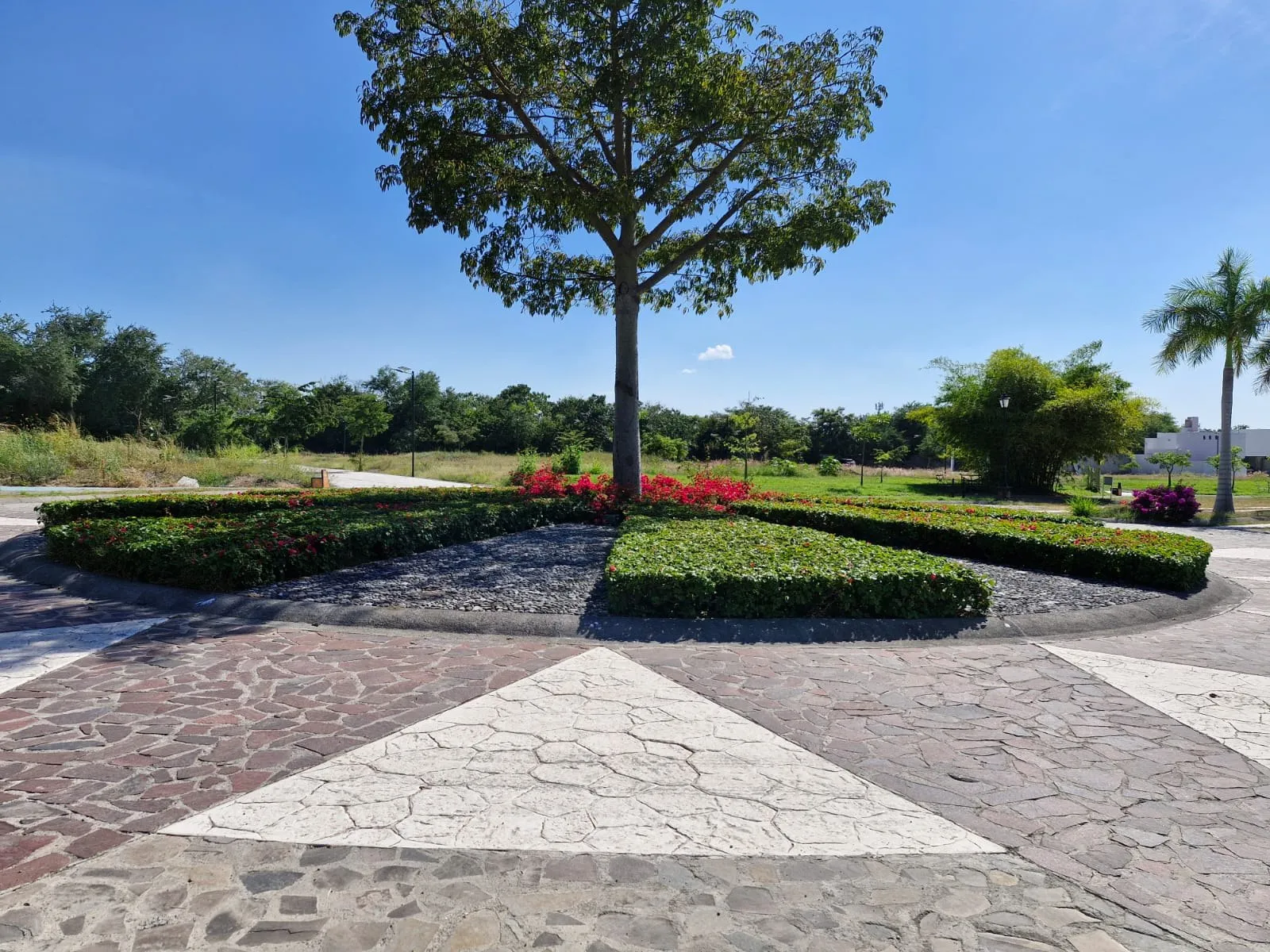 Glorieta ajardinada con árbol central, setos y pavimento de piedra