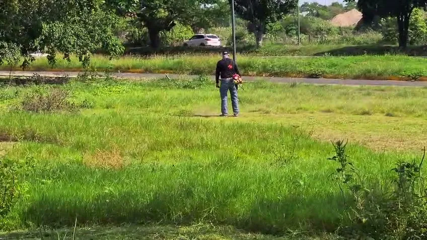 Cuadrilla desmontando un terreno amplio