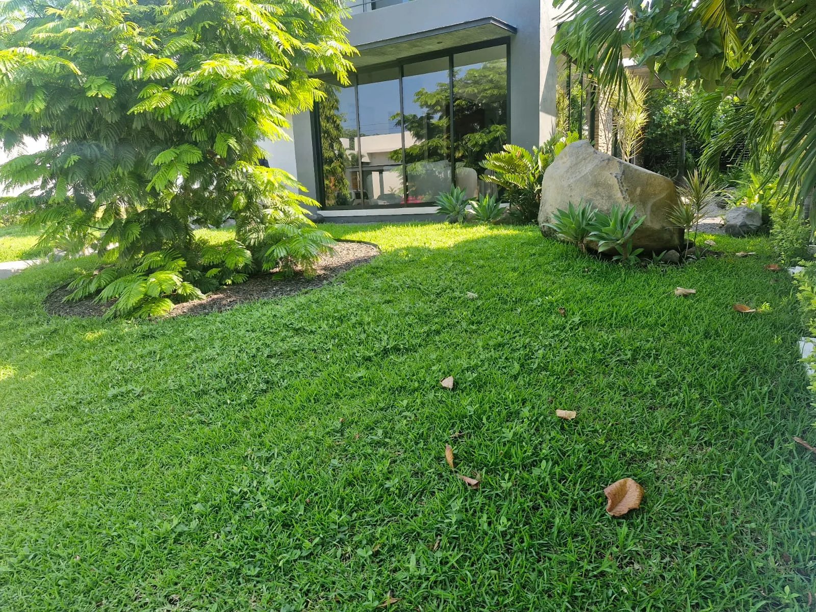Jardín residencial con pasto, roca y arbustos frente a una casa moderna