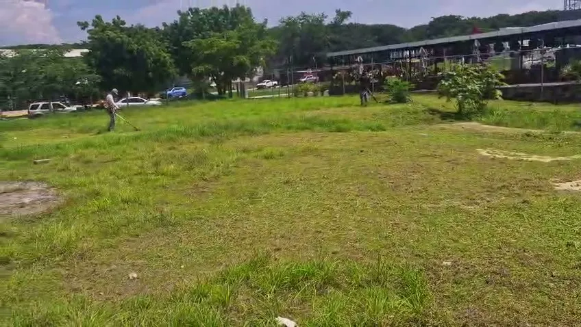 Cuadrilla limpiando un lote