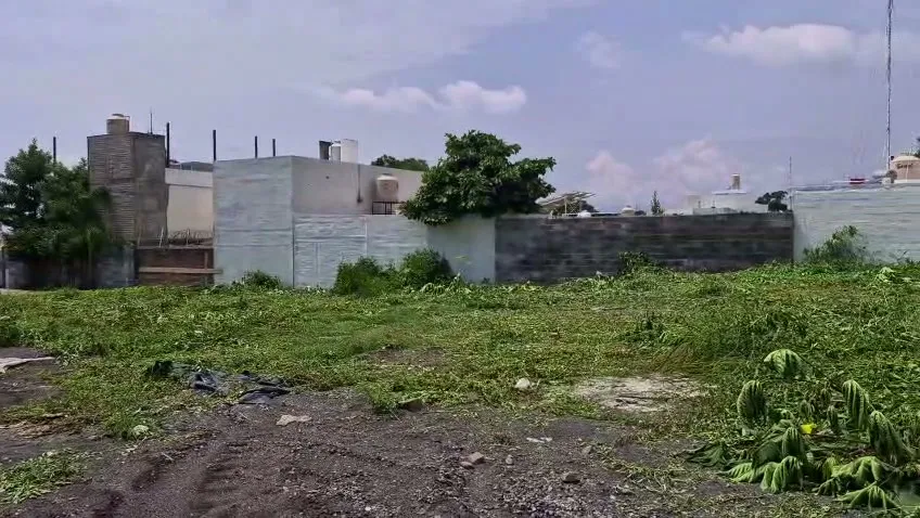 Lote limpio después del desbroce