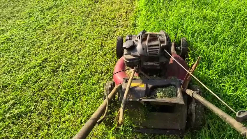 Podadora sobre césped recién cortado