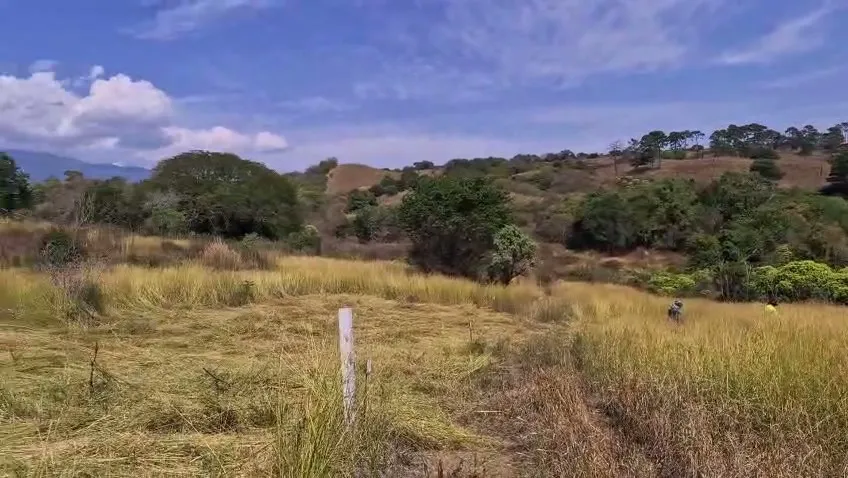 Terreno con pastizal seco por desbrozar